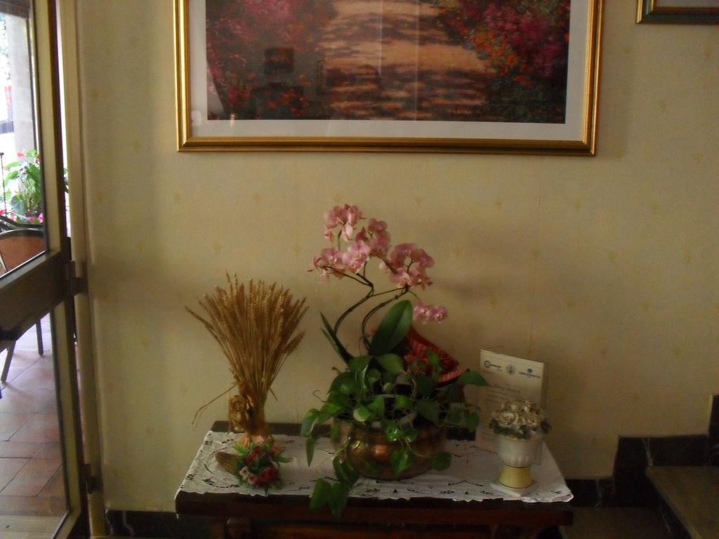 Albergo Ristorante Olimpia Abbadia San Salvator Luaran gambar